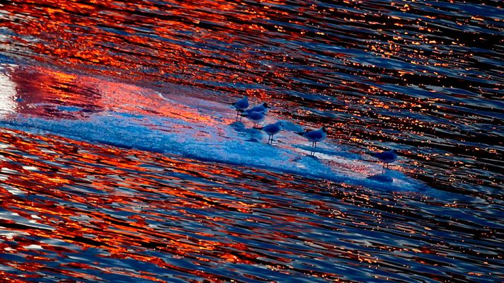 El tiempo - Nueve provincias estarán en riesgo por bajas temperaturas, viento y oleaje