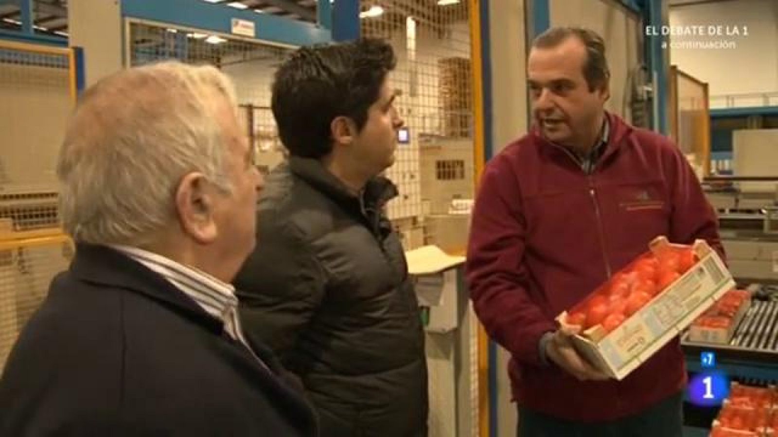 Comando Actualidad - Guerra de precios - Los cítricos