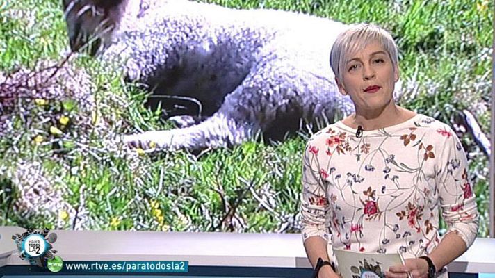 Para todos La 2 - 11-02-2017 - Avance