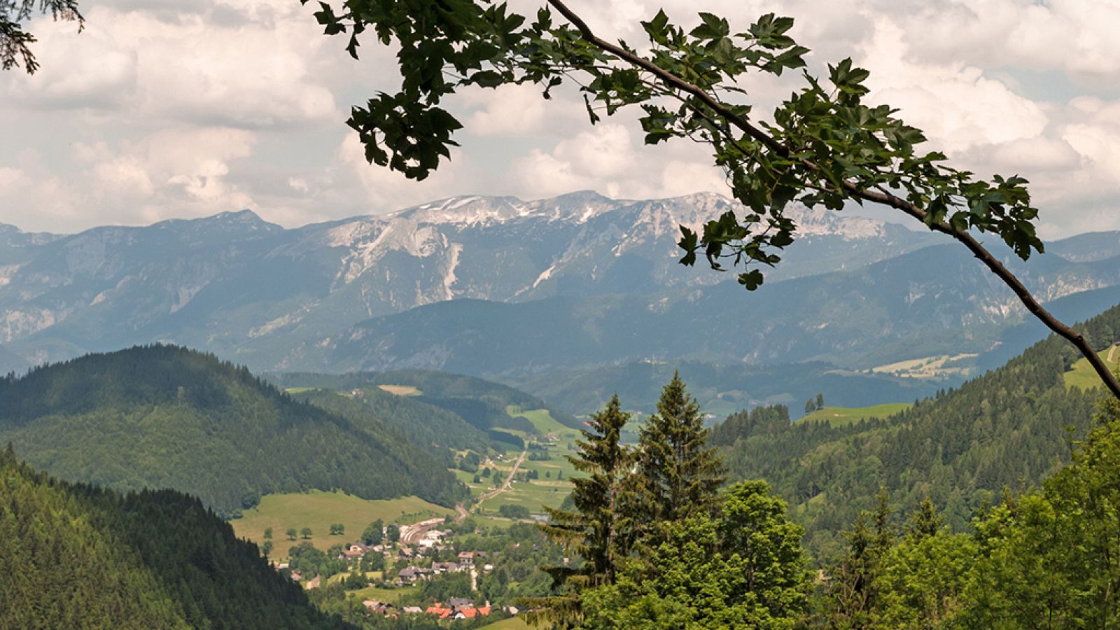 Grandes documentales - La creación de un bosque virgen: El Parque Nacional Kalkalpen - ver ahora
