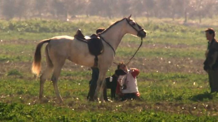 Jara y sedal - LXXIX Campeonato de España de Galgos, Osuna 2017
