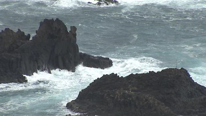 Telecanarias - 11/02/2017