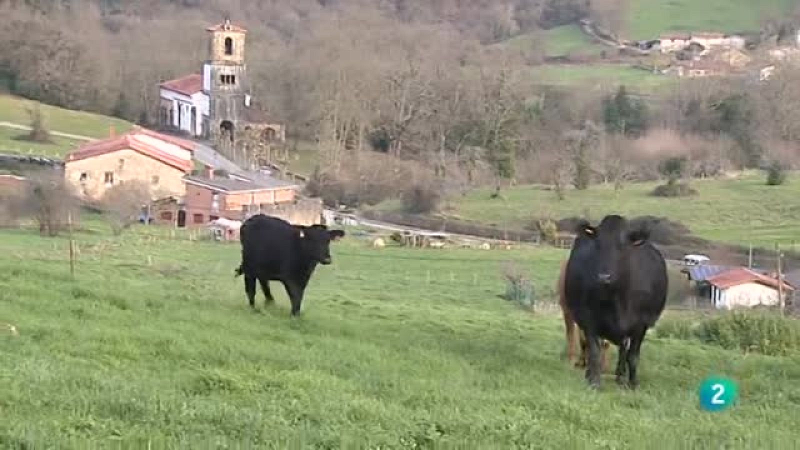 Agrosfera - Con mucho gusto - Leche ecológica