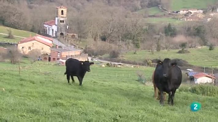 Agrosfera - Leche ecológica