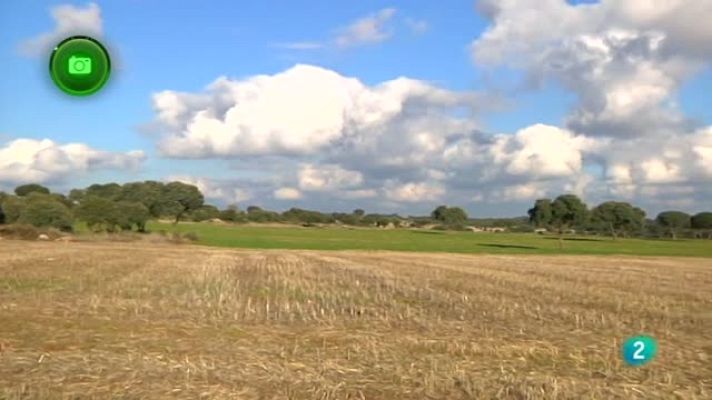 Agrosfera - Olmeda de las Fuentes, Madrid