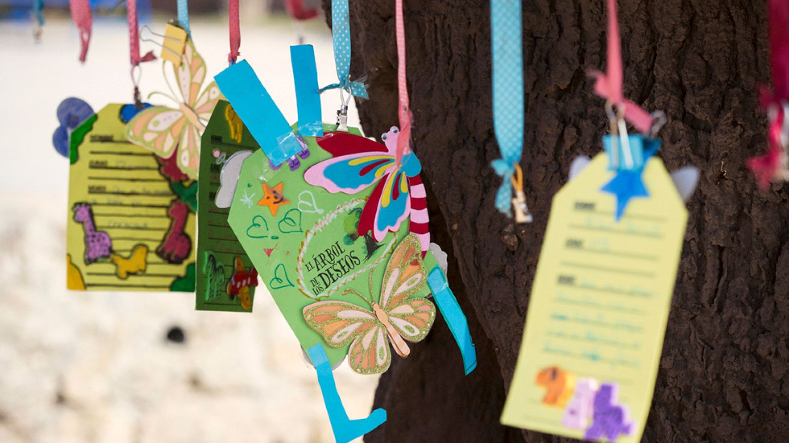 Los deseos de los niños se cumplirán en 'El árbol de los deseos'