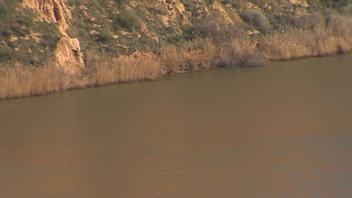 Informativo de Madrid - Informativo de Madrid - 13/02/17