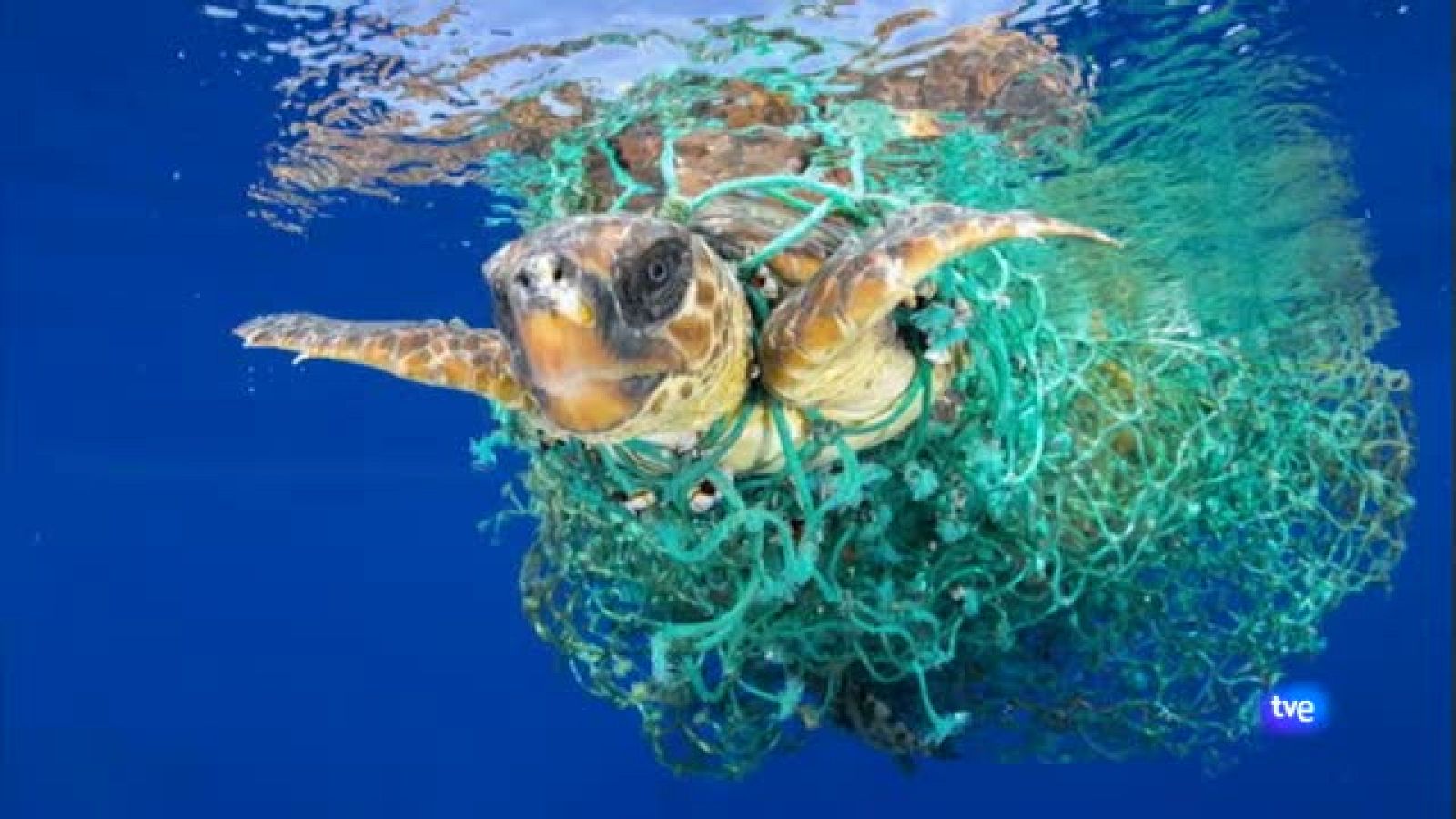 Premio Francis Pérez