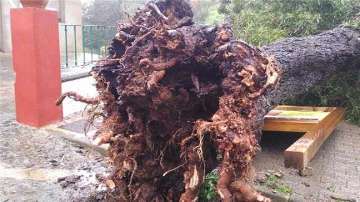 Telecanarias - Canarias en 2' - 13/02/2017