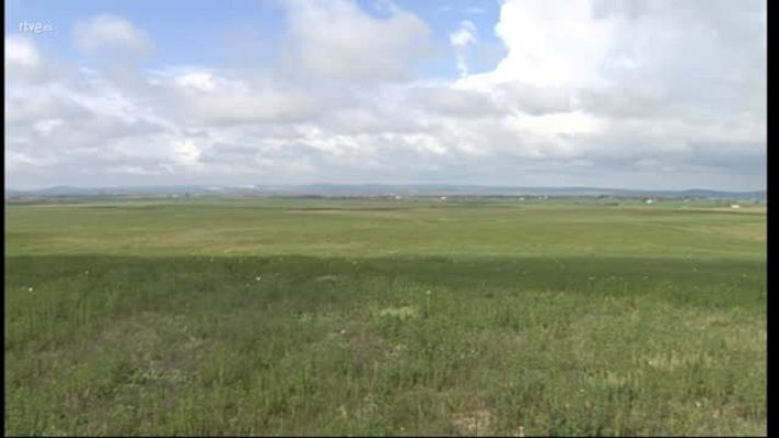  - PLATAFORMA LOGÍSTICA