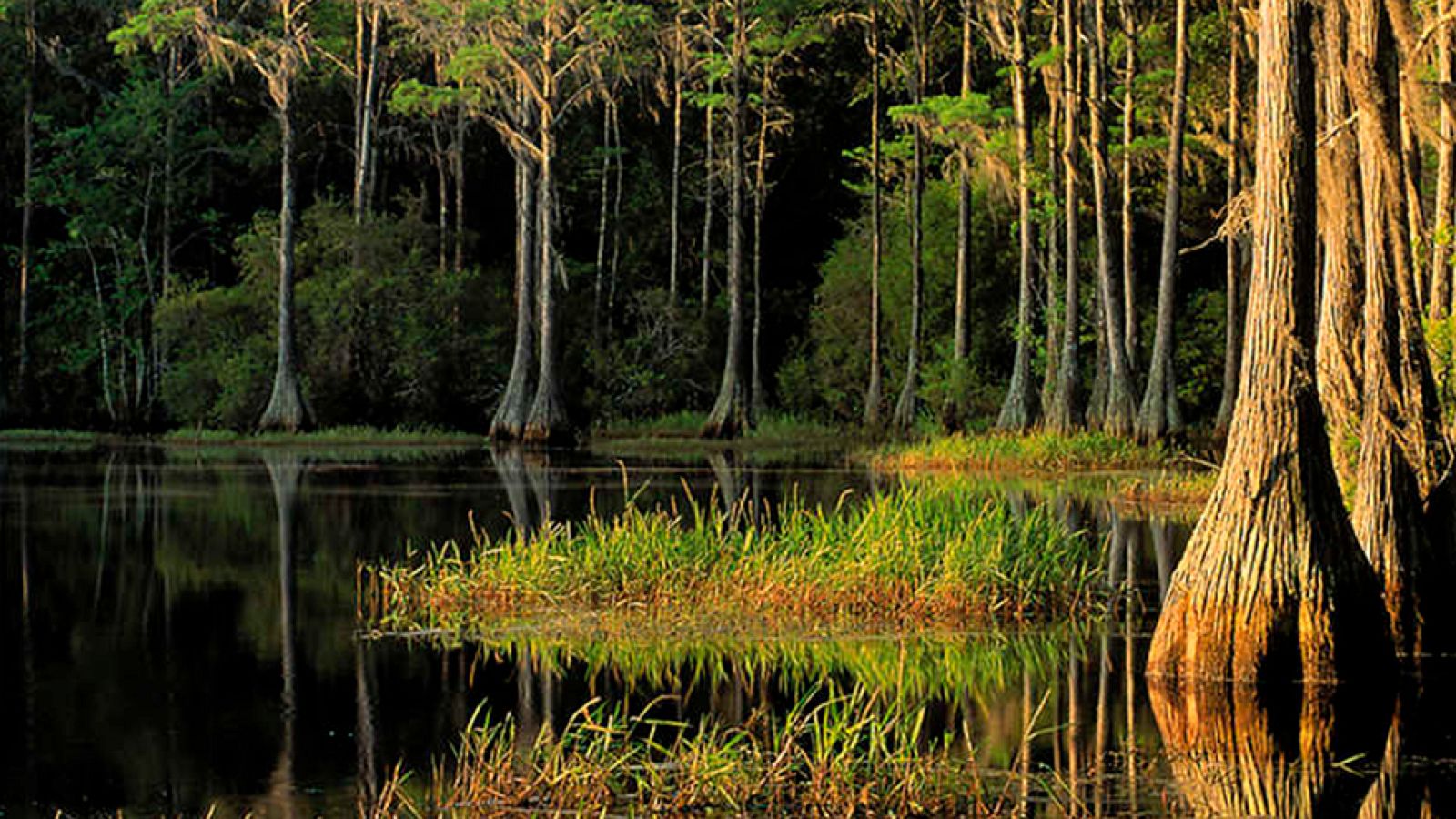 Las estaciones salvajes. Episodio 1º - ver ahora