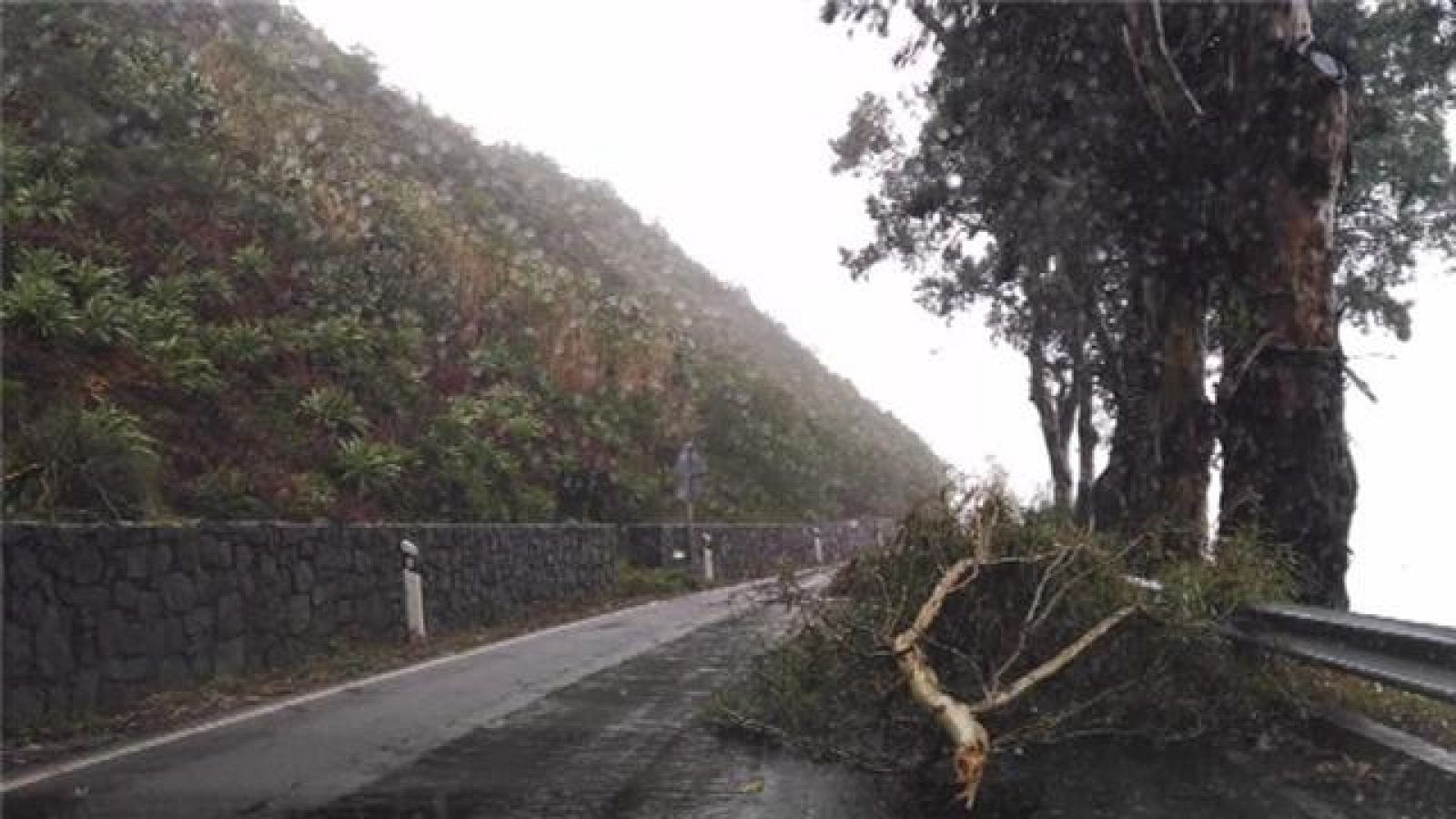 Telecanarias - 13/02/2017