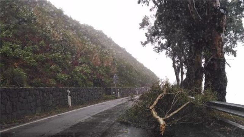 Telecanarias - 13/02/2017