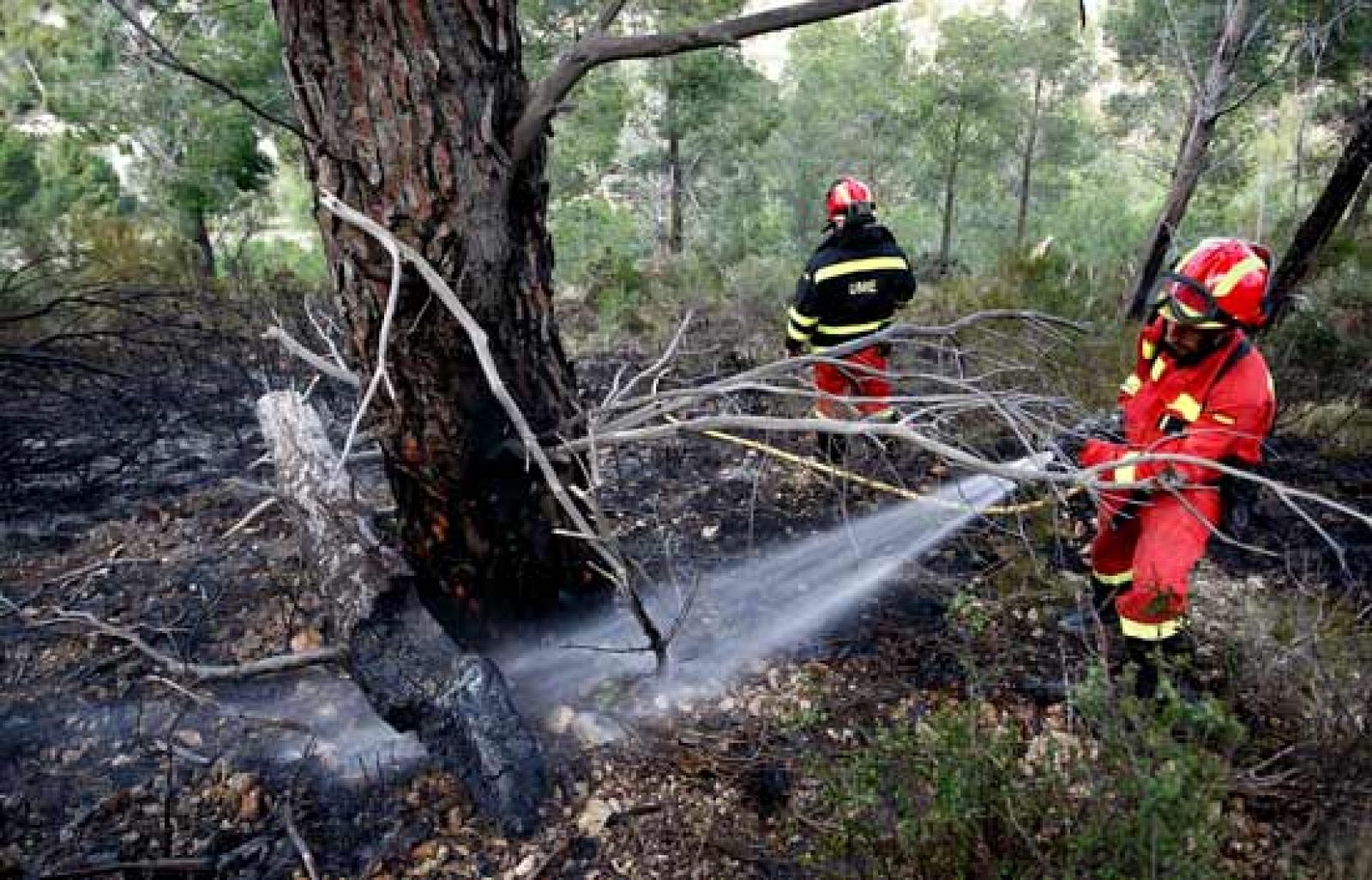 Telediario fin de semana en cuatro minutos - 25/01/09 | Ver