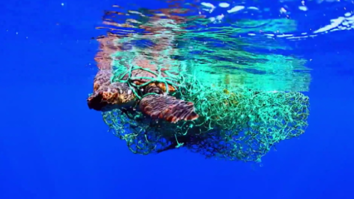 Telecanarias - Telecanarias 2 - 14/02/2017