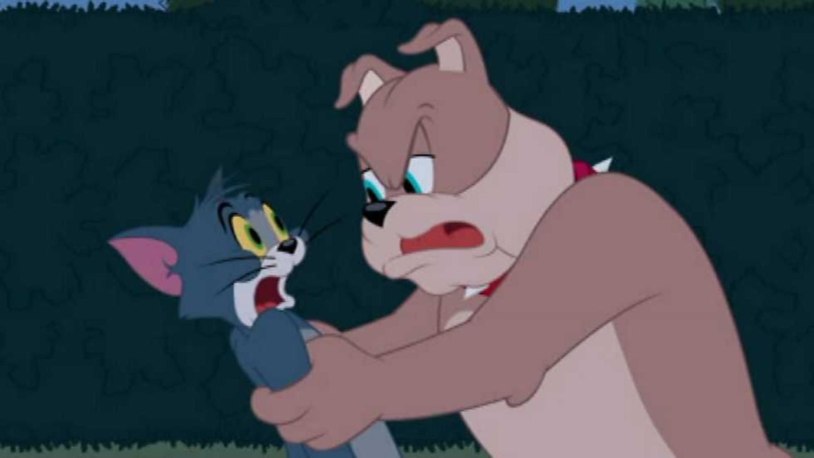 Como el perro y el pato - Tom y Jerry | Ver