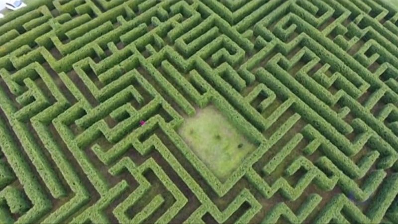 En Villapresente, Cantabria, crean el laberinto más grande de España