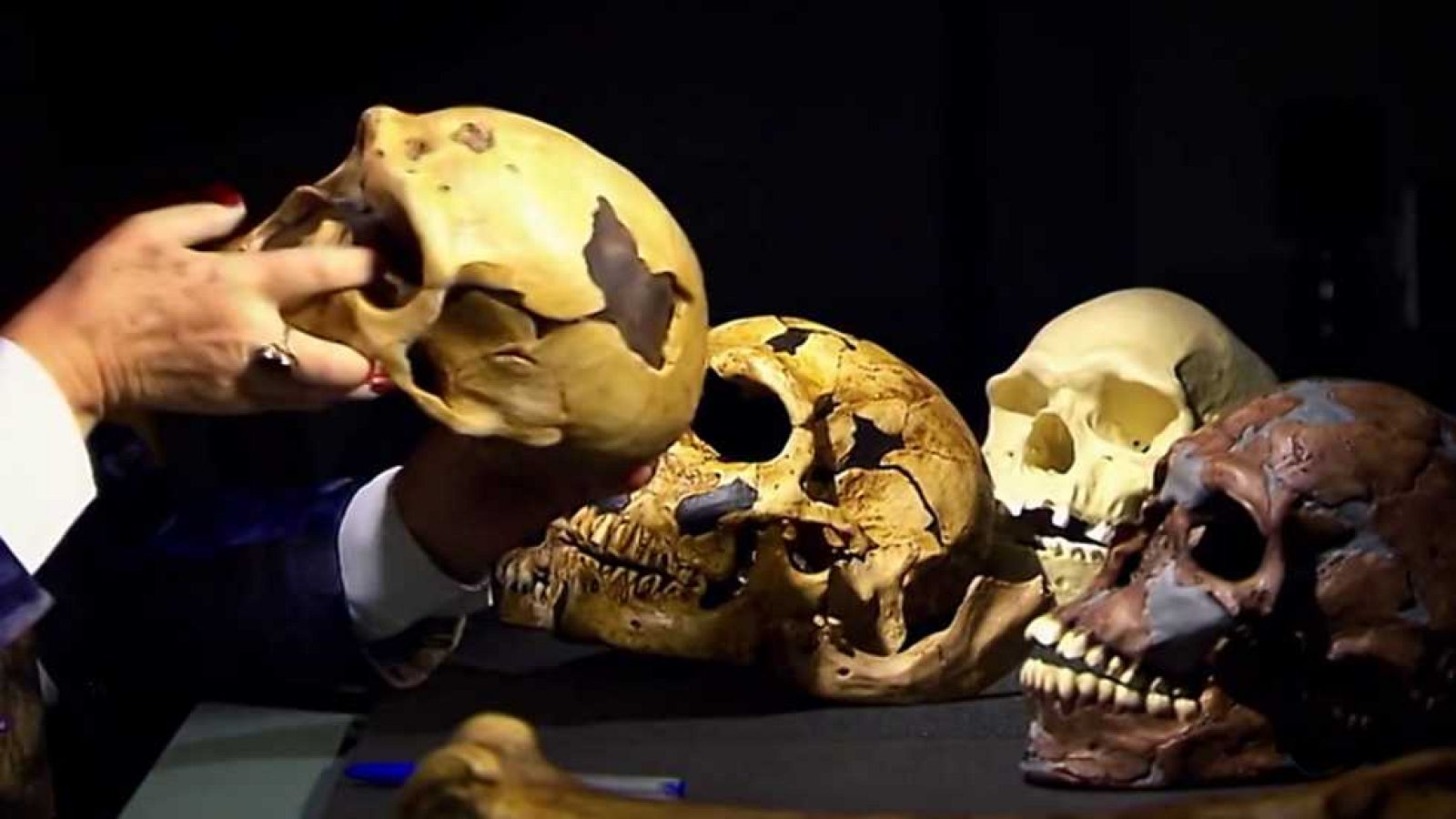 UNED - 17/02/17 - ver ahora