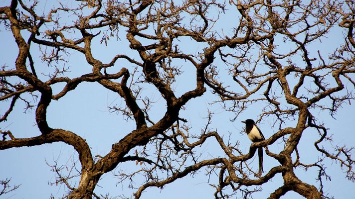 Informativo de Madrid - El Tiempo en la Comunidad de Madrid - 17/02/17