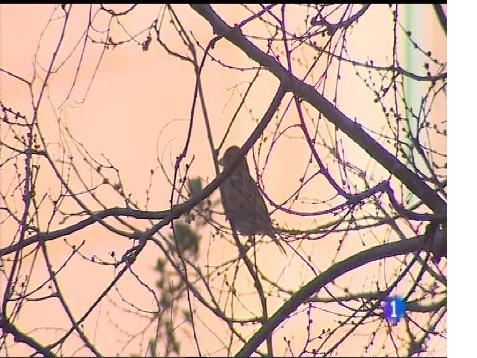 El tiempo en Asturias - 17/02/17 | Ver