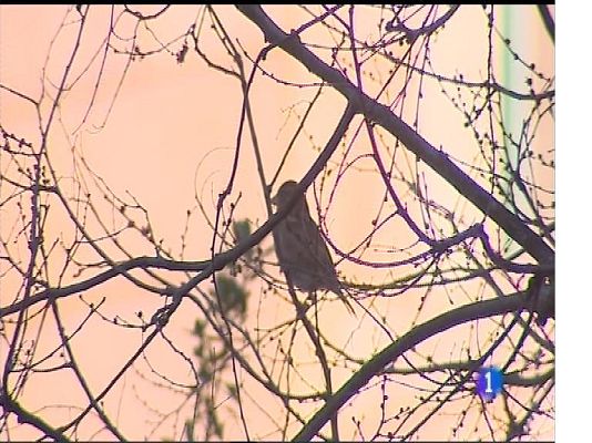 Panorama Regional - El tiempo en Asturias - 17/02/17