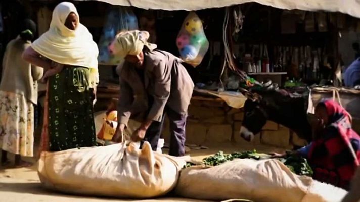 Últimas preguntas - El mundo necesita más gente comprometida