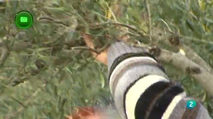 Agrosfera - San Martín de Trevejo, Cáceres