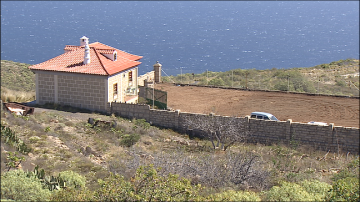  - Detenidos peleas perros