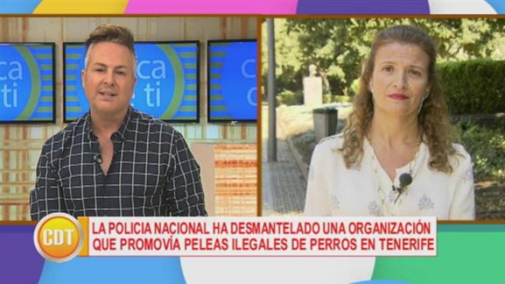 Cerca de ti - Cerca de ti - 20/02/2017