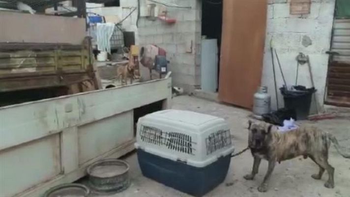 Telecanarias - Telecanarias - 20/02/2017