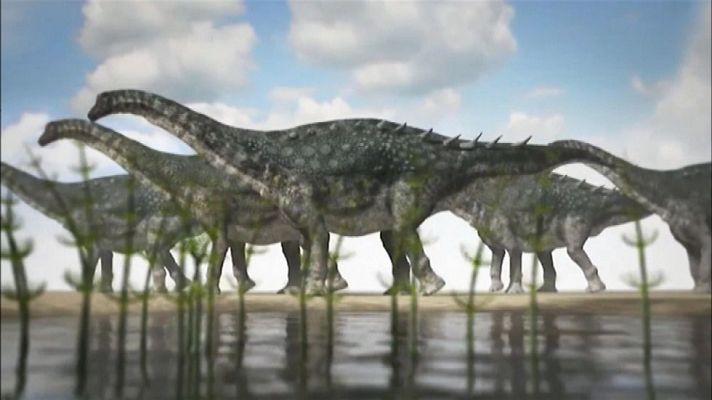 Telediario 1 - Un yacimiento en Cuenca revela para qué servía la armadura ósea de los últimos dinosaurios