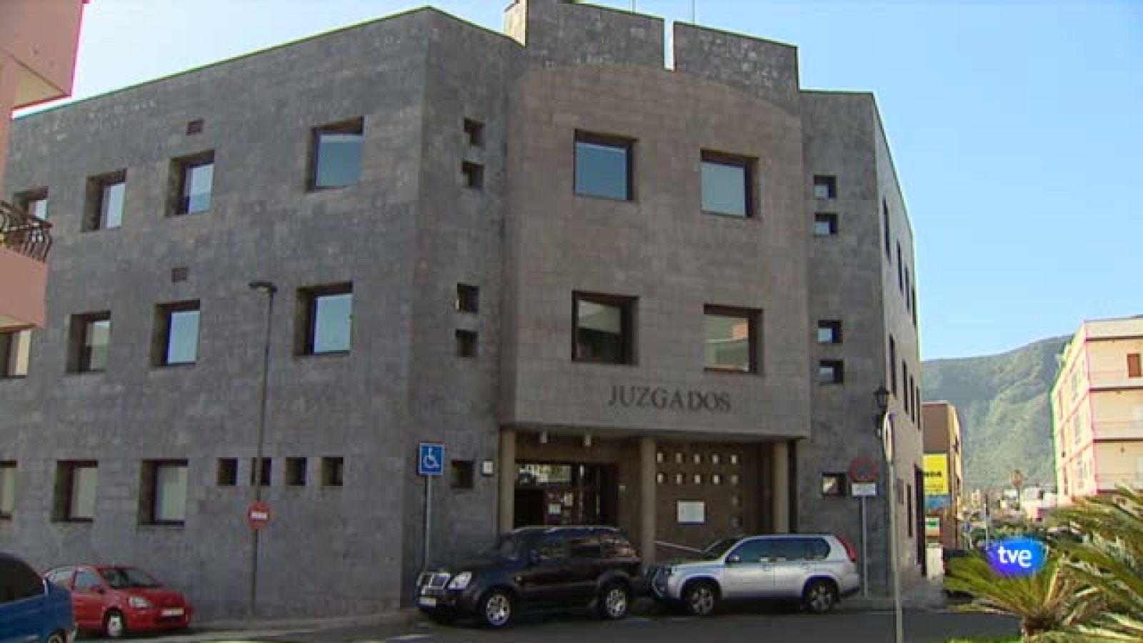 Prisión peleas perros