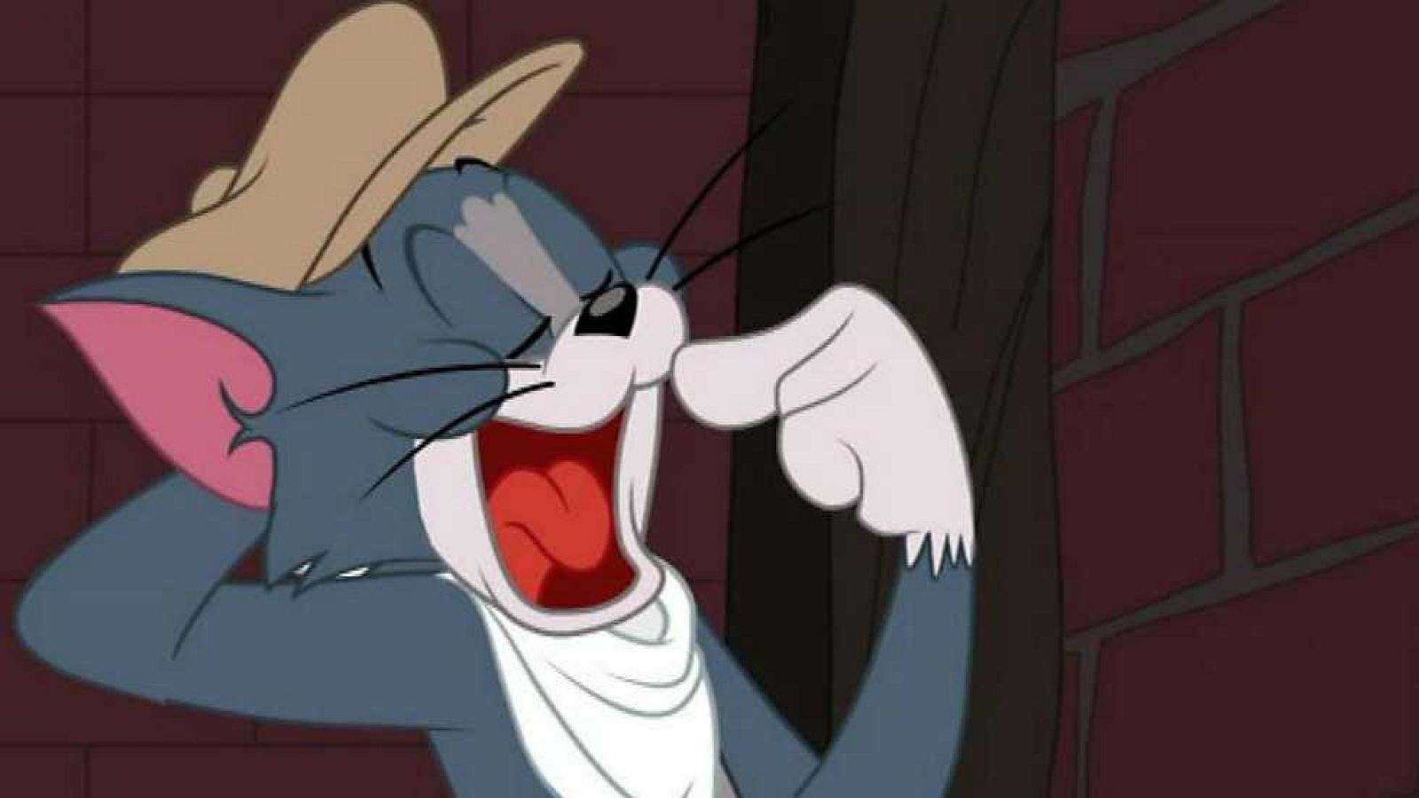 El gato de Downton - Tom y Jerry | Ver