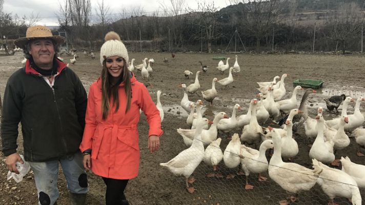 Aquí la Tierra - Ocas meteorólogas