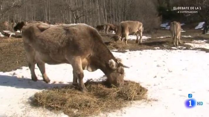 Comando Actualidad - El turismo ha salvado el Valle aragonés de Tena