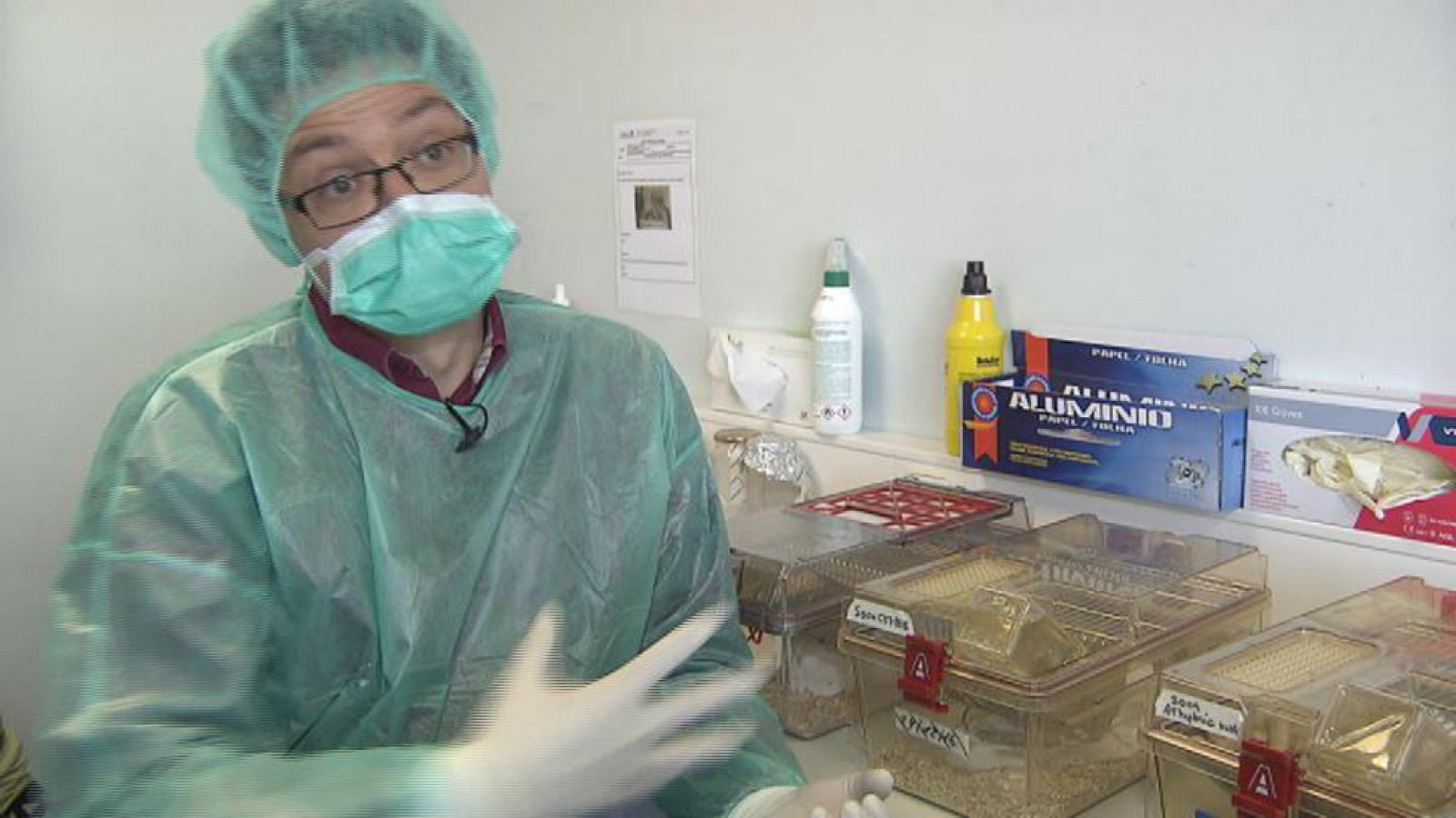 Repor - Animales bajo lupa - web 3