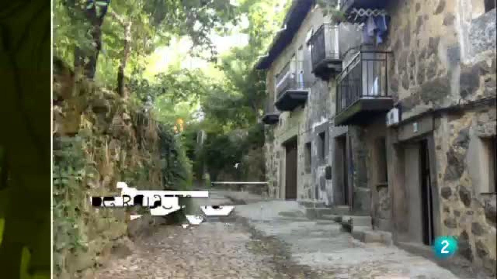 TIPS - Fuera de ruta - Parque nacional Yasuní, Ecuador