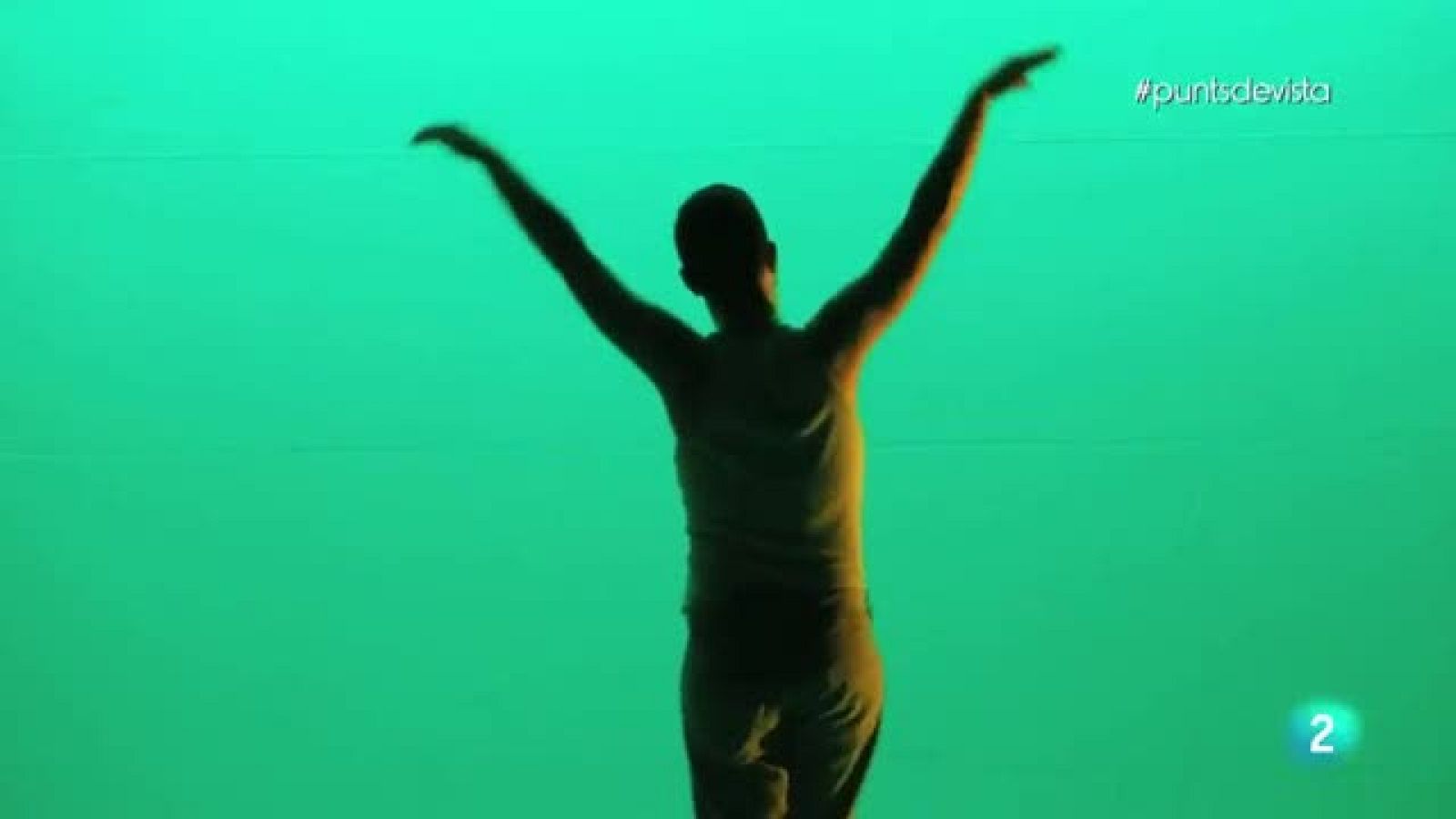 Punts de vista - Pere Faura: bailarí i coreògraf