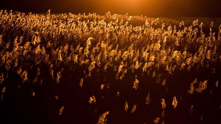 Informativo de Madrid - El Tiempo en la Comunidad de Madrid - 24/02/17