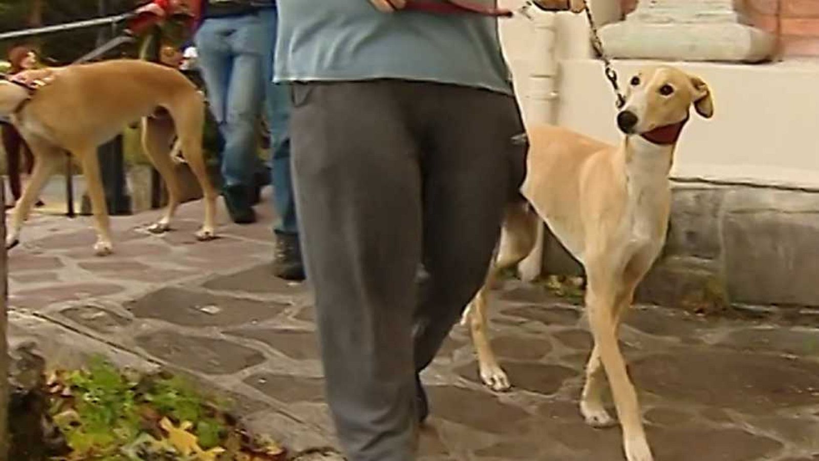 España en comunidad - 25/02/17 - ver ahora