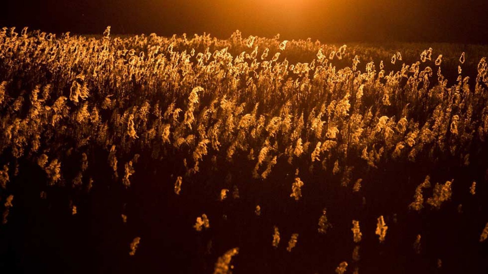Nubes generalizadas y viento en la costa de Galicia