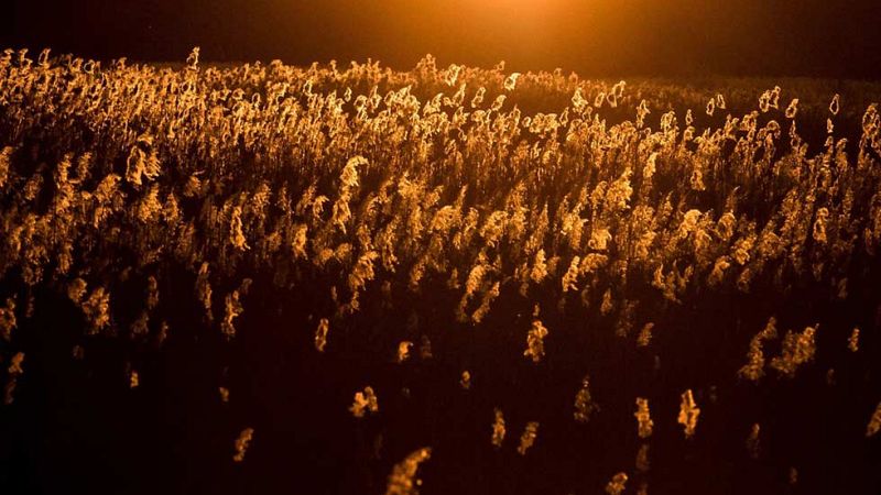 Nubes generalizadas y viento en la costa de Galicia