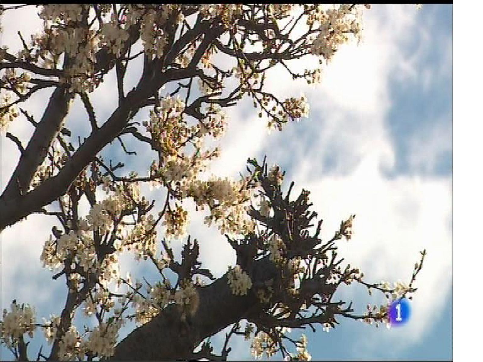 El tiempo en Asturias - 27/02/17 | Ver