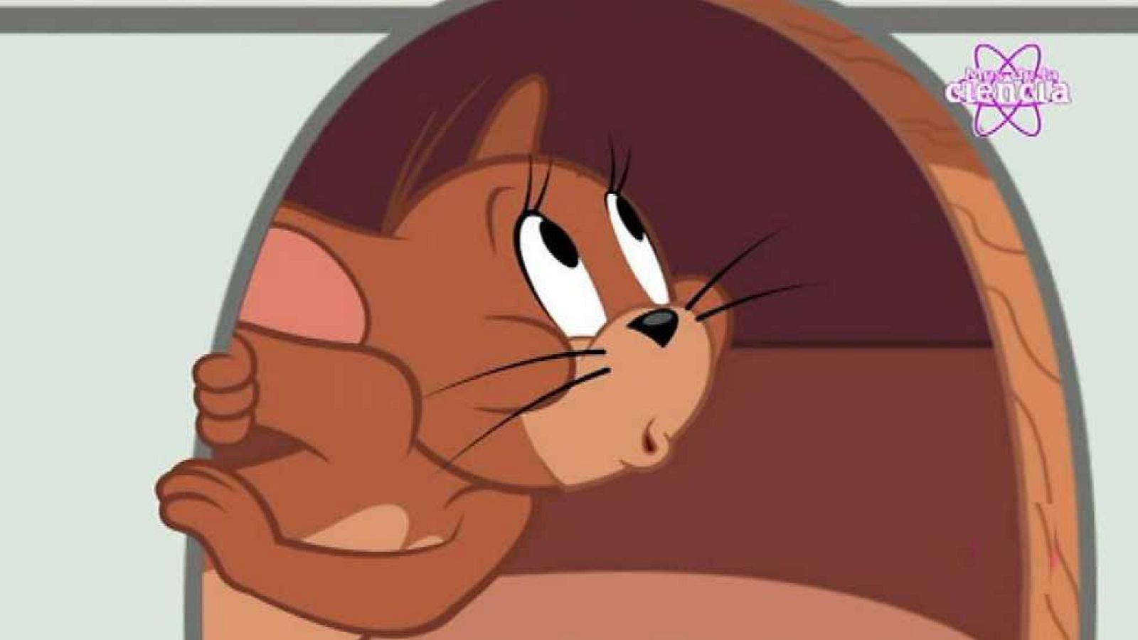 Fuera lo viejo - Tom y Jerry | Ver