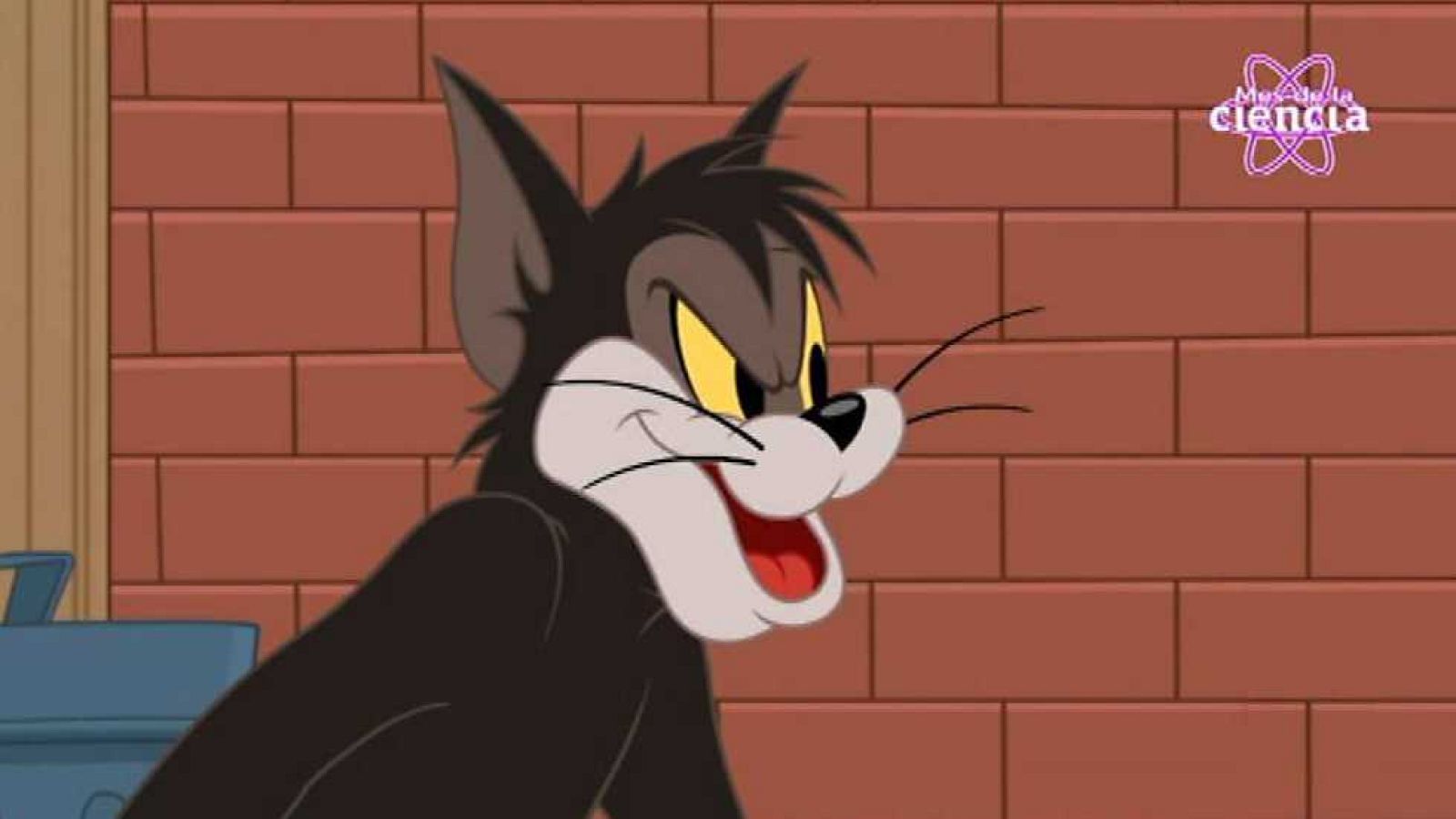 Las tic en raya - Tom y Jerry | Ver