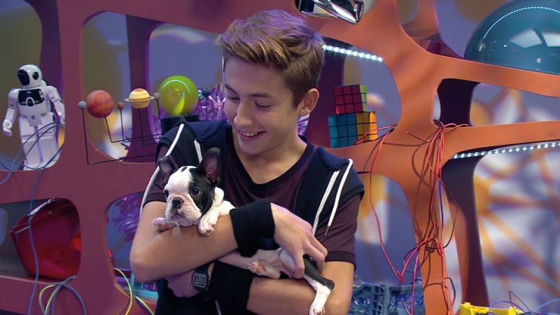 Mes de la Ciencia - El misterioso origen de los perros - Big Band Clan | Ver