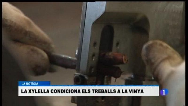 Informatiu Balear en 2' - 02/03/17