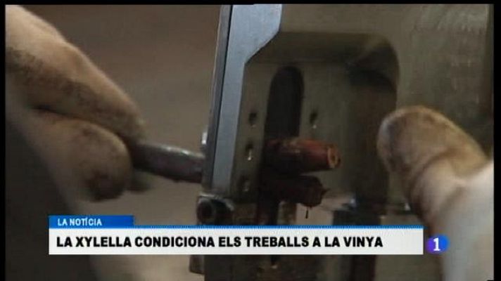 Informatiu Balear - Informatiu Balear - 02/03/17