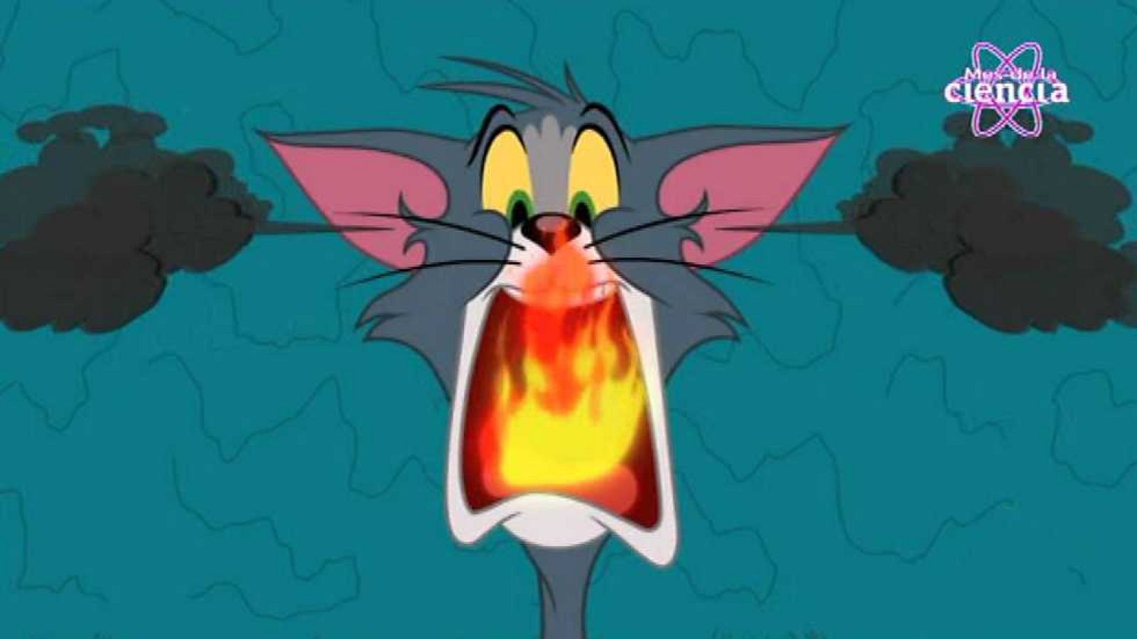 A correr para perder - Tom y Jerry | Ver