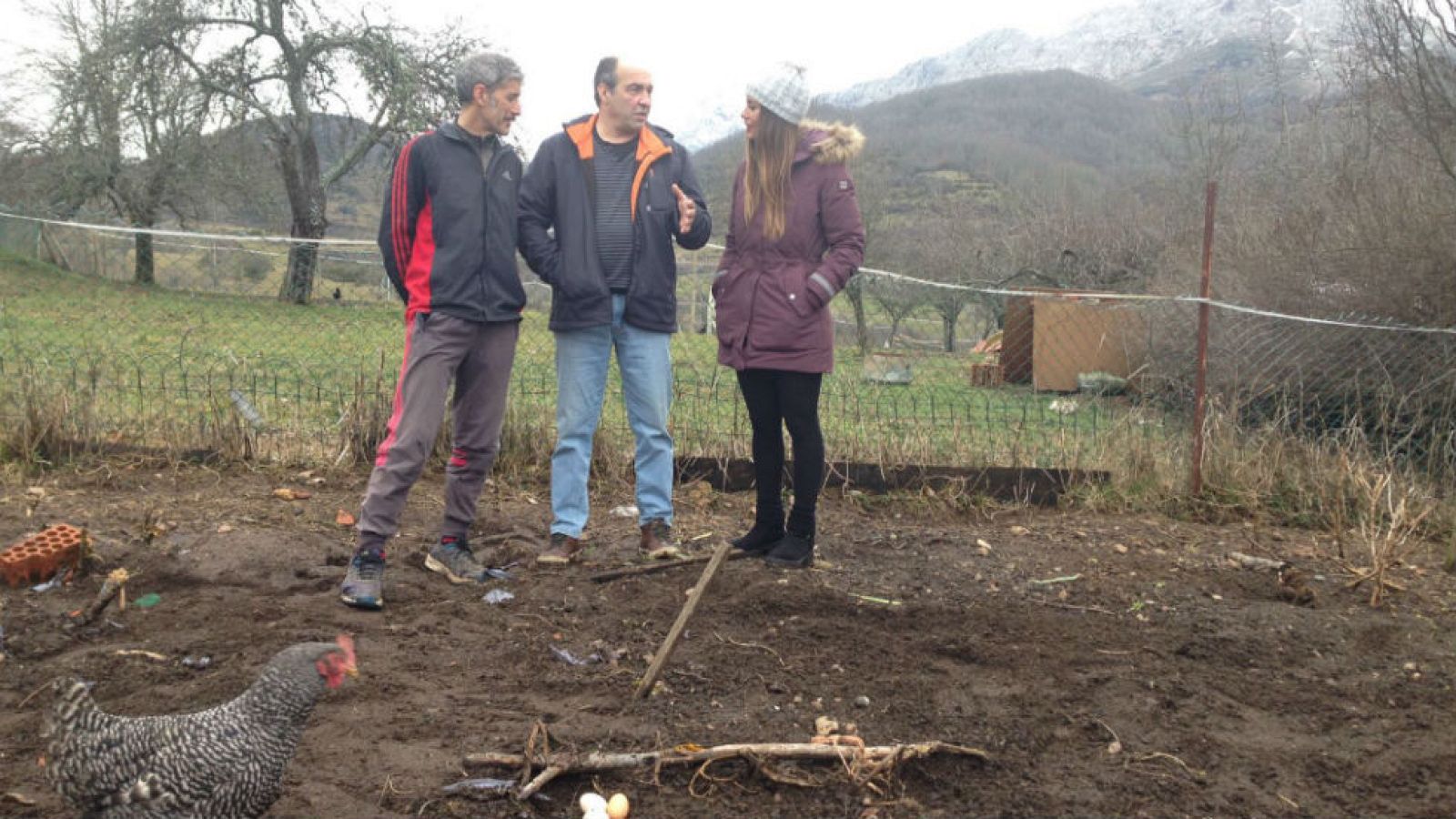 Del huevo al frisuelo